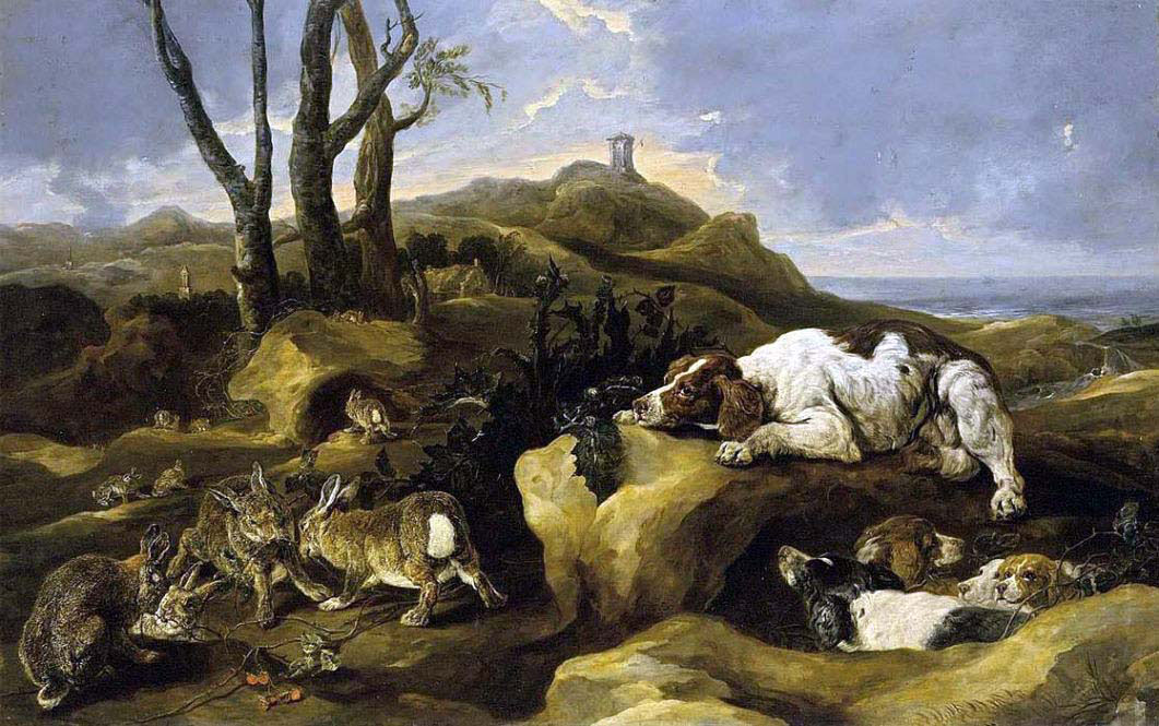 Spaniels stalking Rabbits in the dinnes